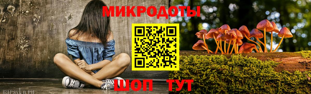 Галлюциногенные грибы Psilocybe Пушкино